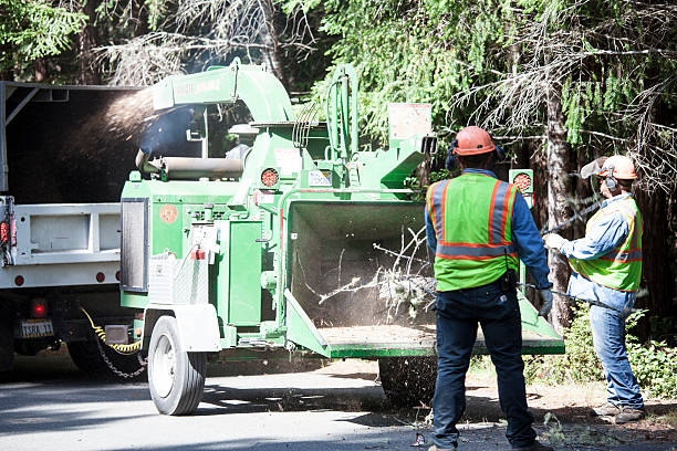 Soil Testing and Treatment in Sachse, TX